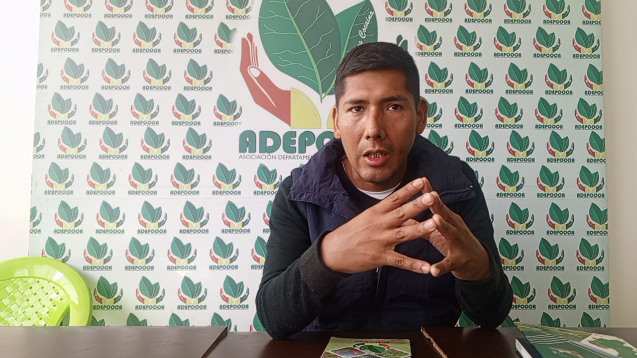 Adepcoca asegura que en Yungas no hay temor por la...